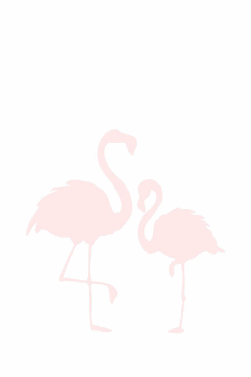 Flamingos Rosa Wandbild-23-158838