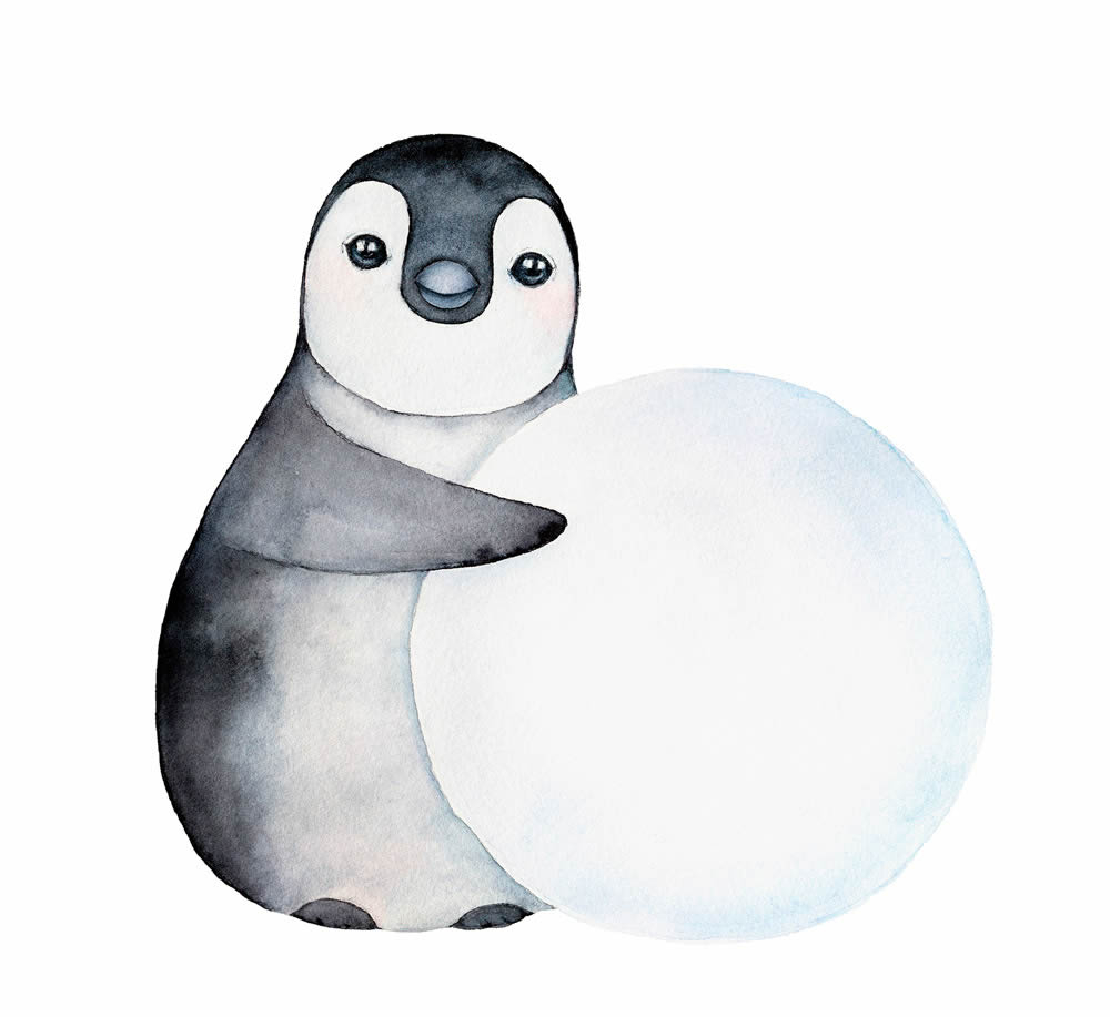 Wandbild Pinguin Schneeball vorgekleistert 100 x 97,5 cm