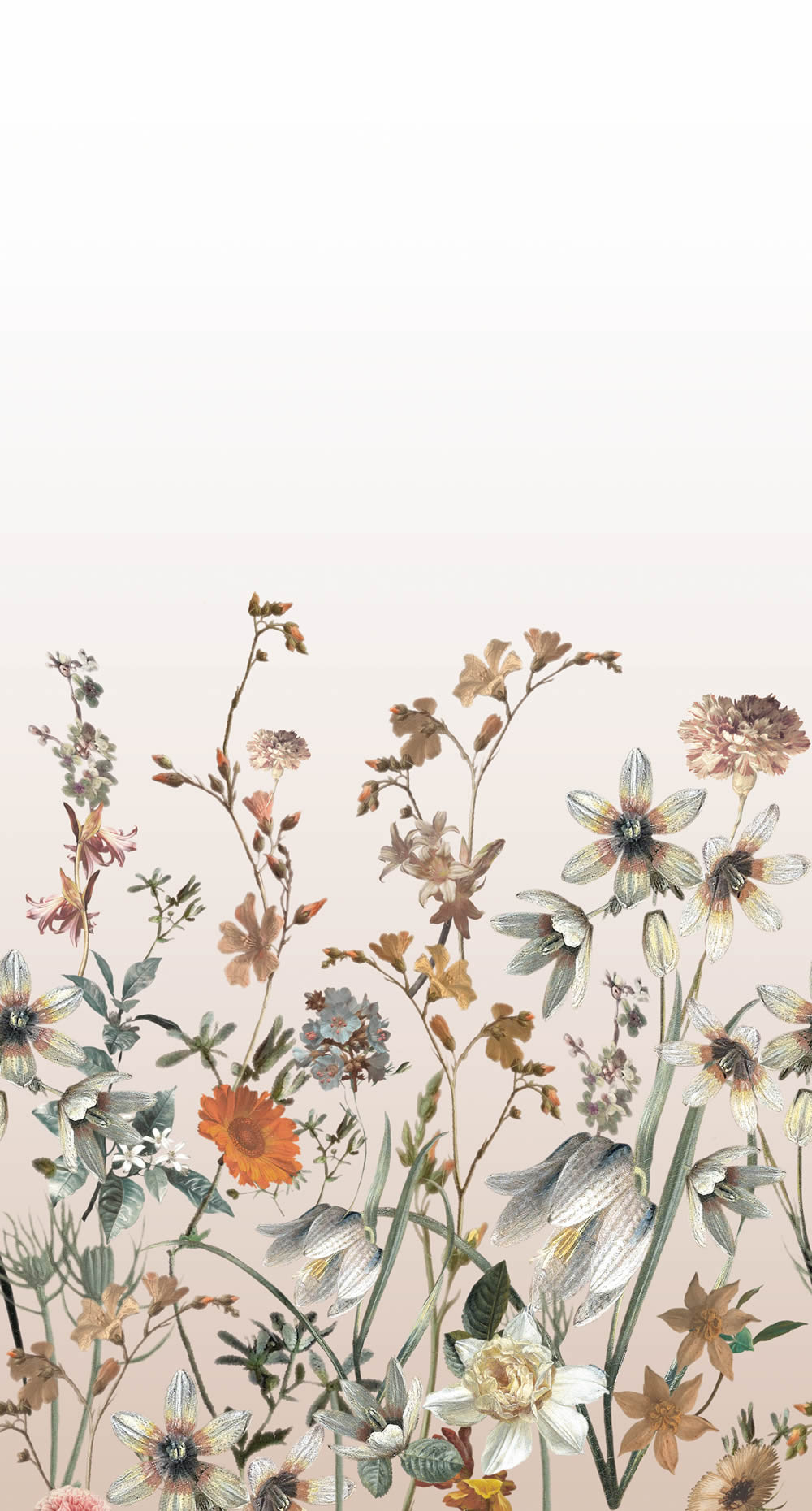 Wandbild Feldblumen Vintage beige 150 x 279 cm 159211