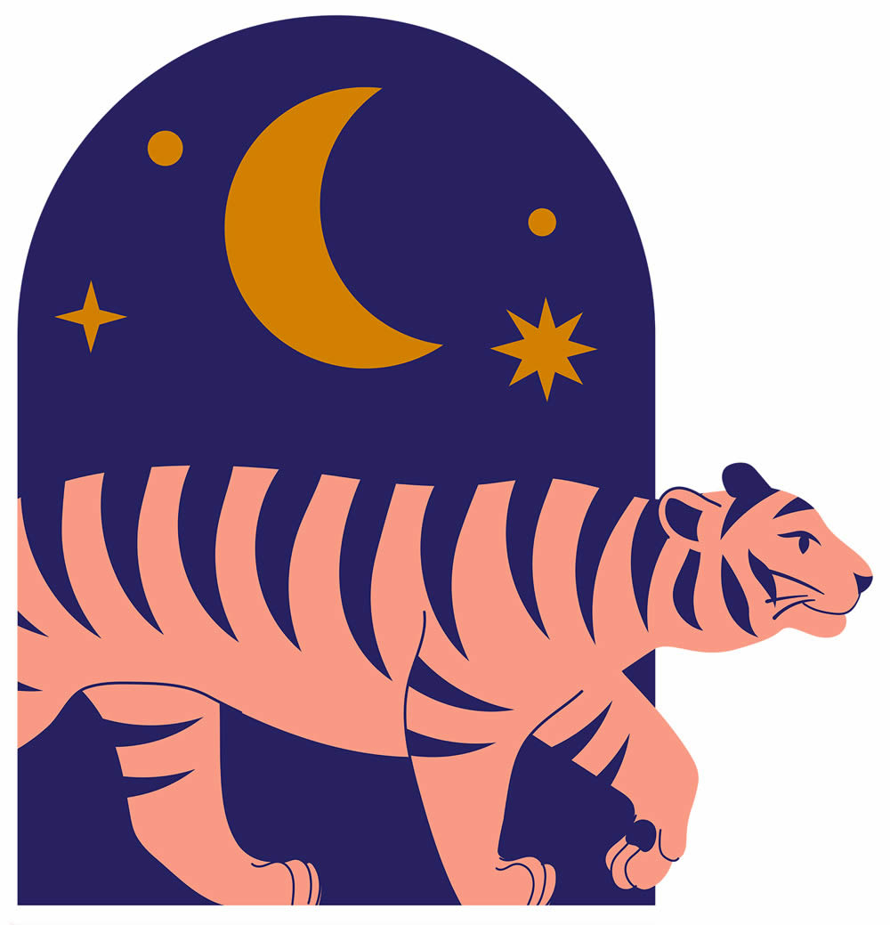 Wandbild Sternenhimmel Tiger vorgekleistert 100 x 104,2 cm