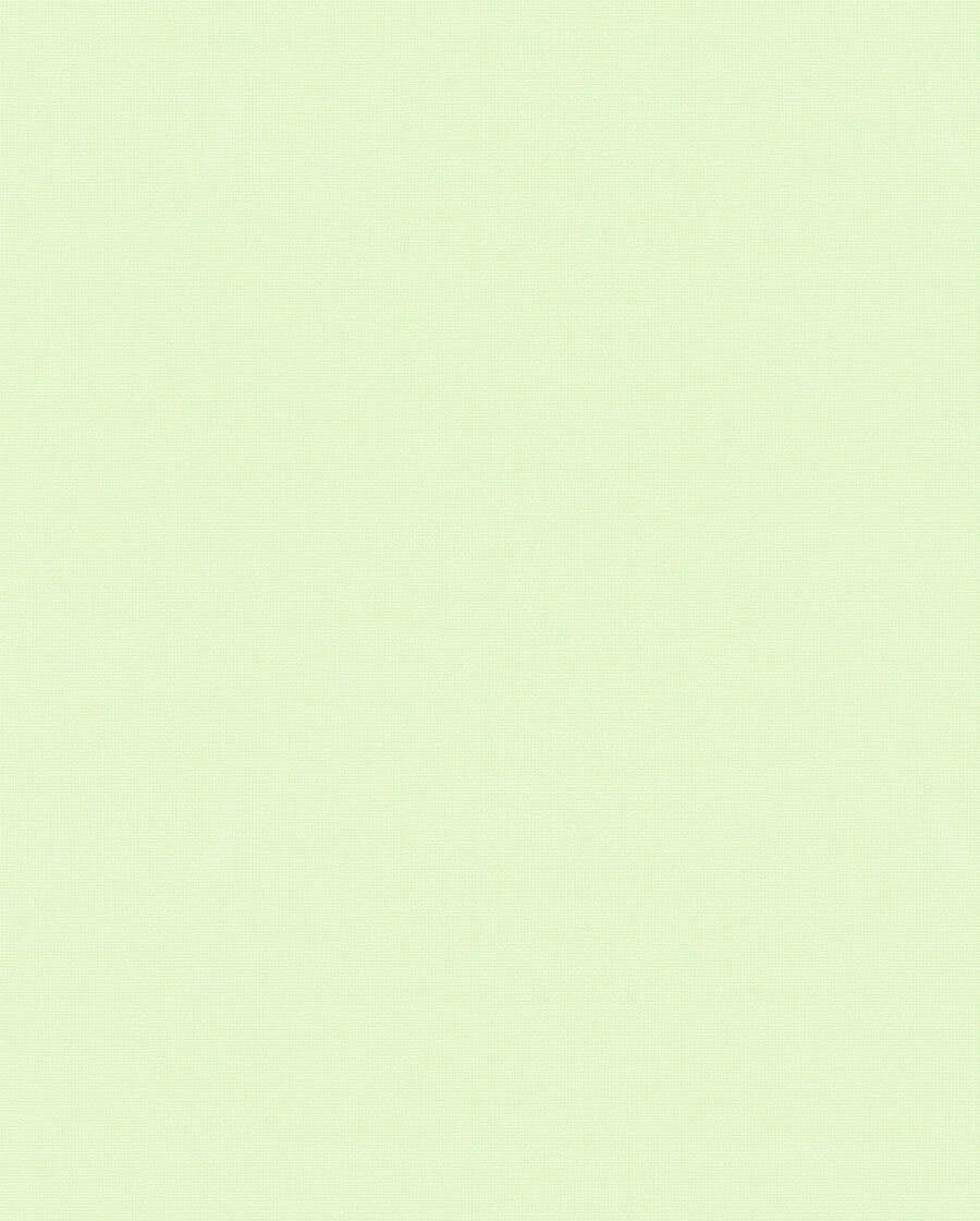 SALE 1 Rolle Marburger Tapeten Kunterbunt 6-57216 Vliestapete grün Uni-6-57216_S