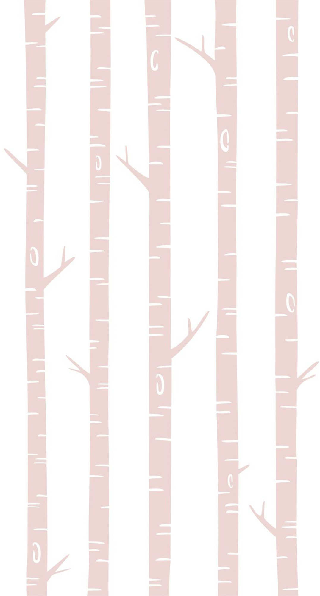 Wandbild Birkenstämme rosa 150 x 279 cm 158927