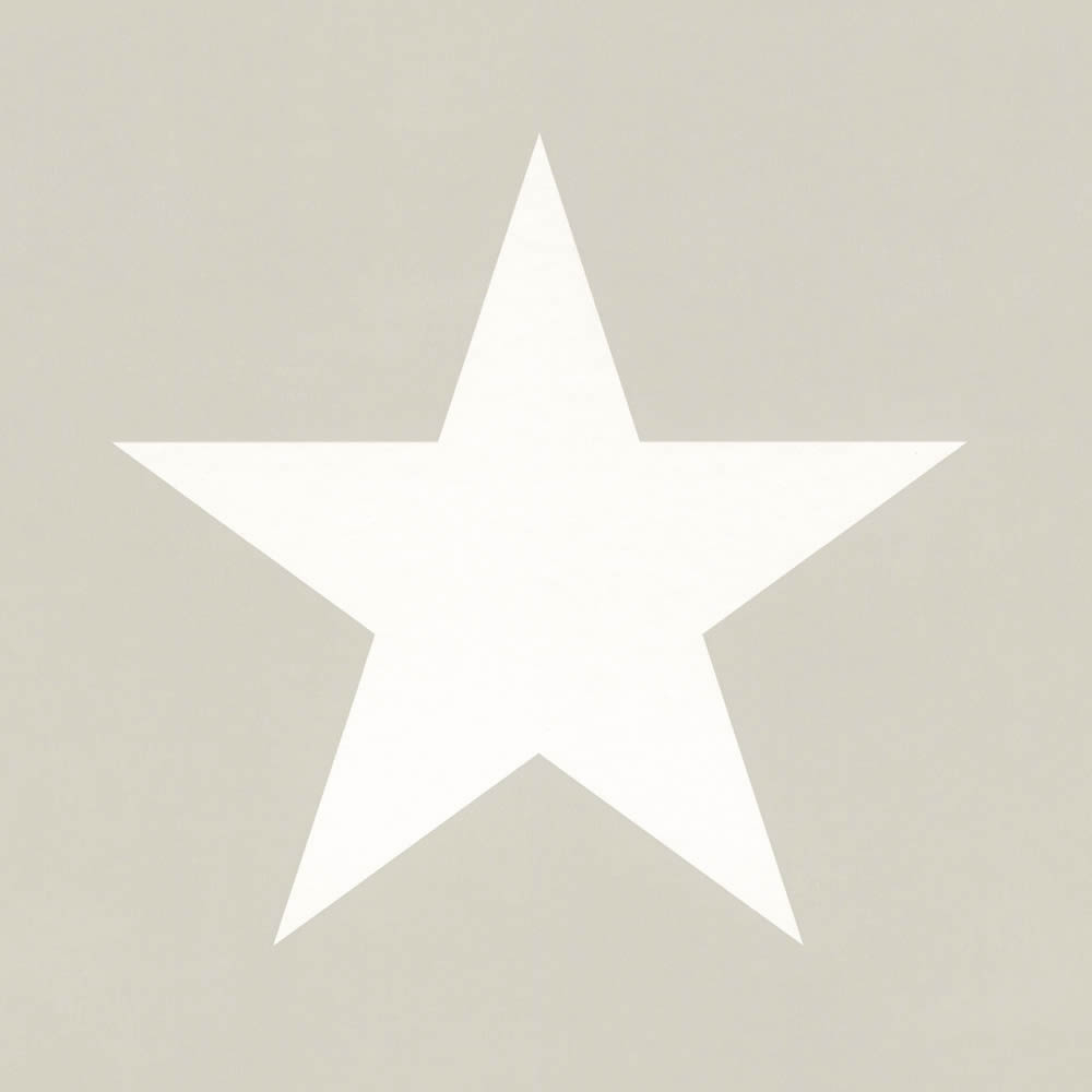 Star non-woven Wallpaper Grey-23-138947.1M