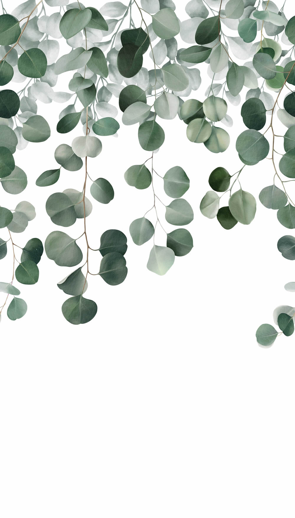 Wandbild 1,59 x 2,80 m Eukalyptus Ranken von oben grün weiß A73201
