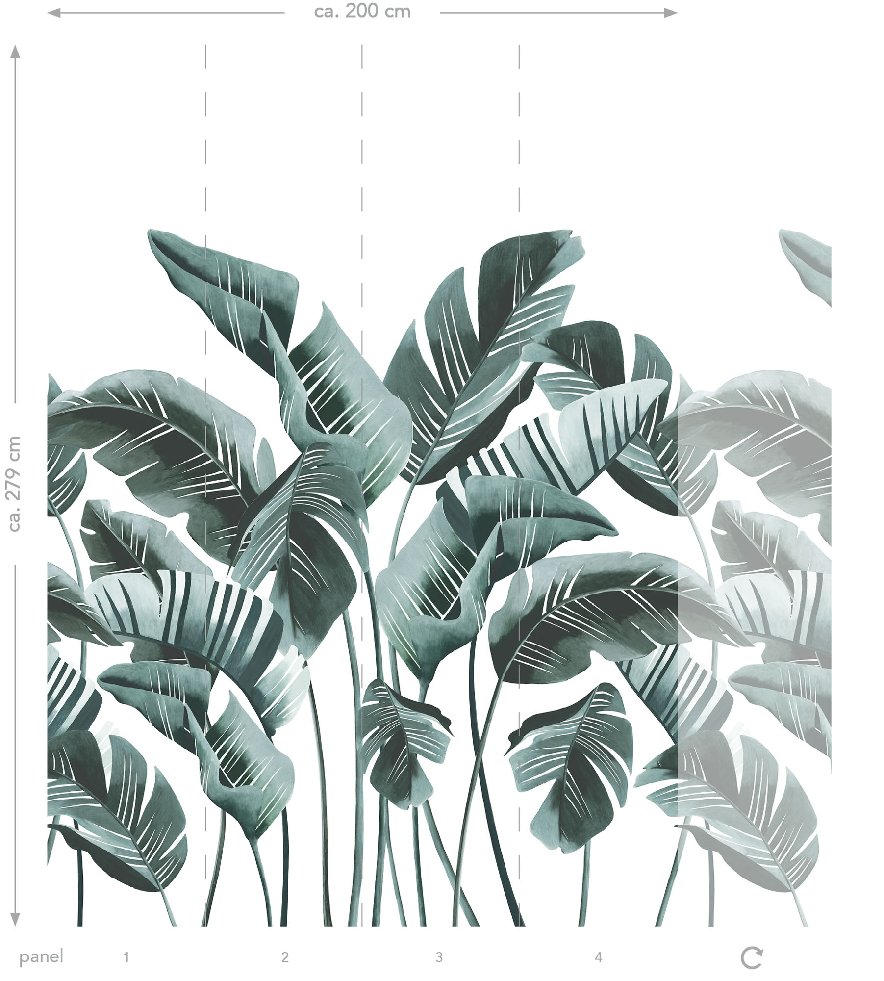 Wandbild Bananenblätter exotisch türkis 200 x 279 cm 158898