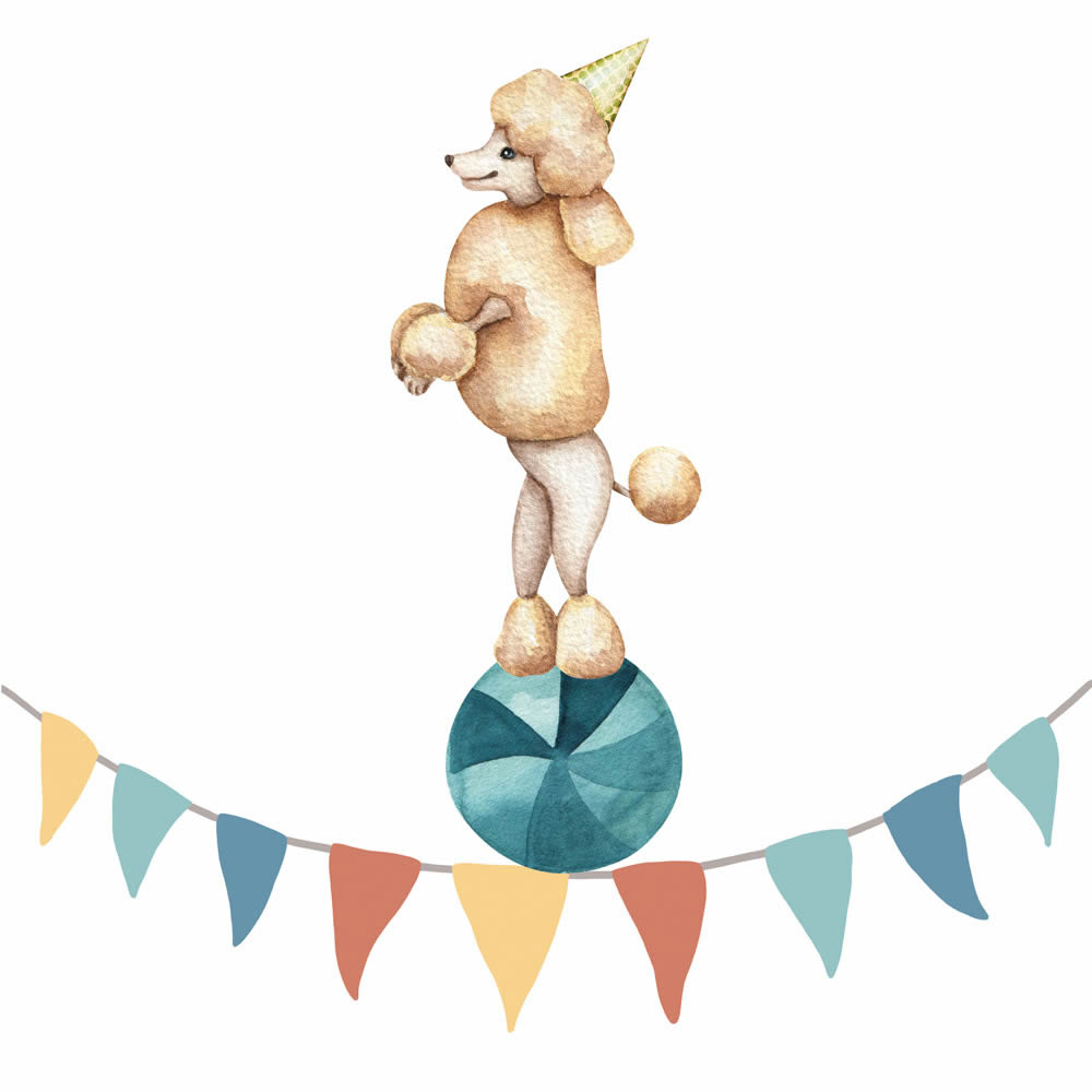 Canvas picture circus ring poodle dog DD129379 30 x 30 cm
