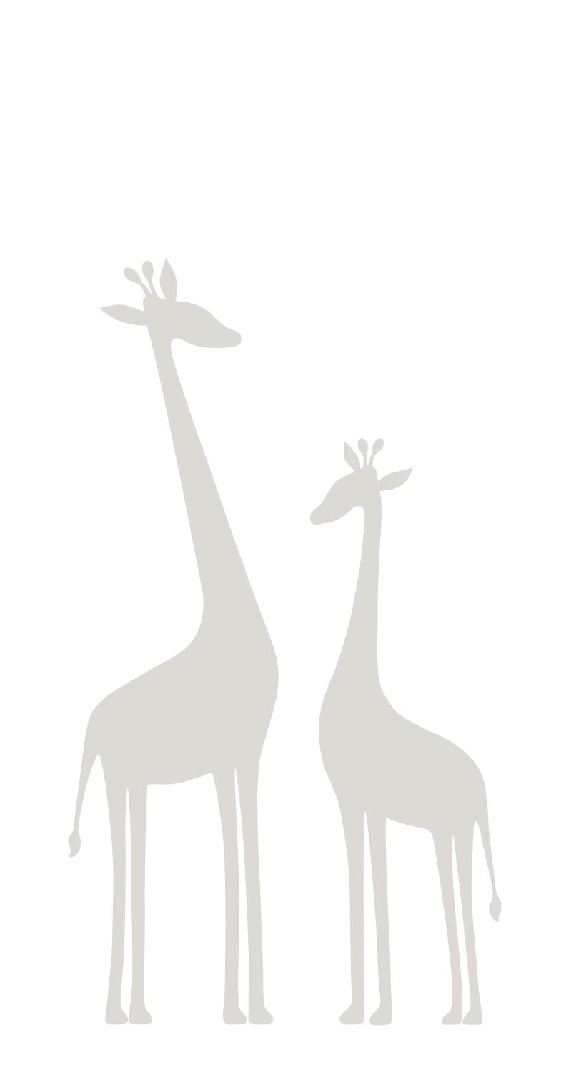 Wandbild Giraffen Skandi Style weiß 150 x 279 cm 357219