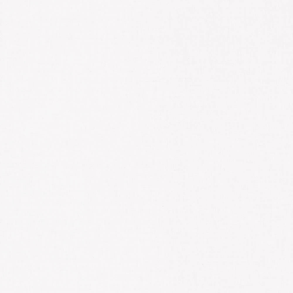 Plain wallpaper wallpaper white Caselio - La Foret Texdecor FRT100601010-36-FRT100601010.1M