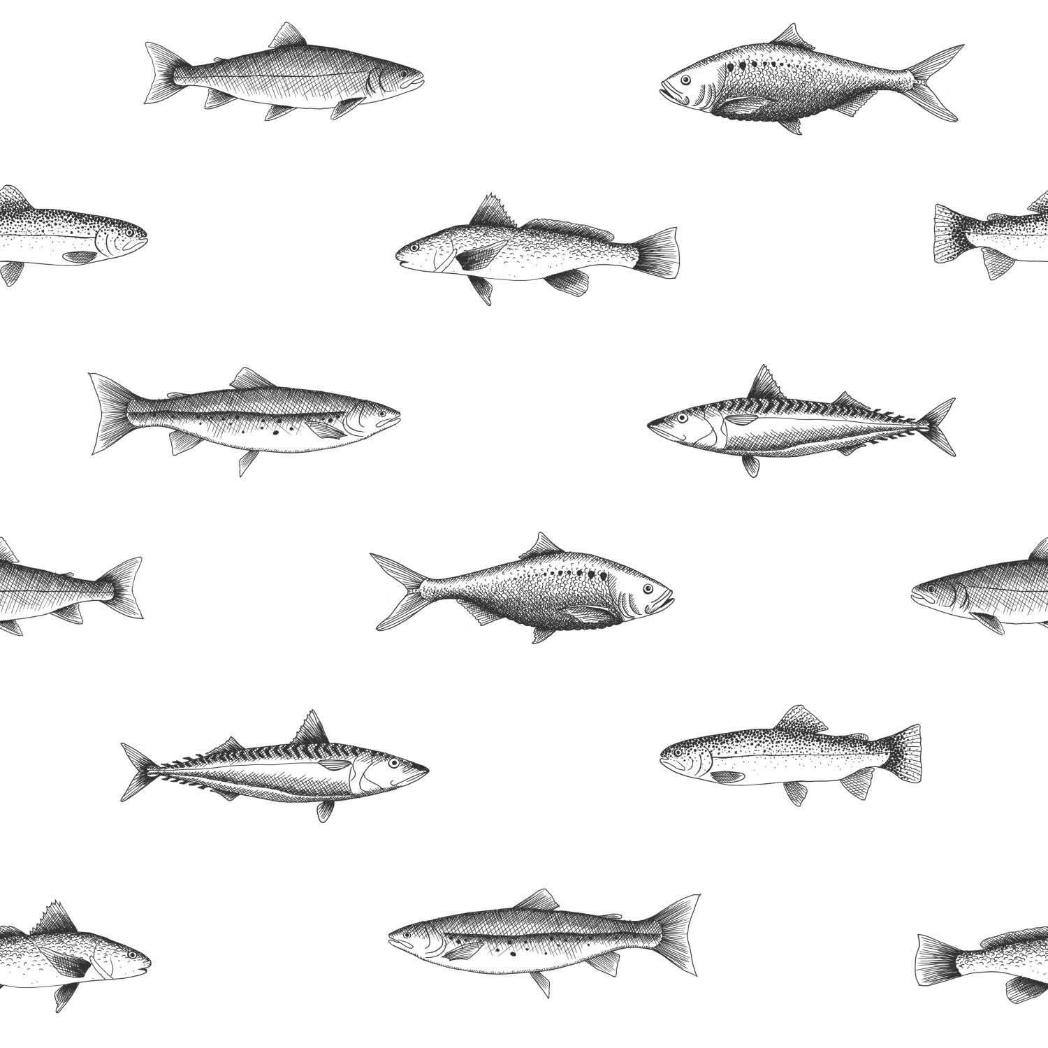 Fischtapete Zeichnung schwarz weiß Vlies 138967