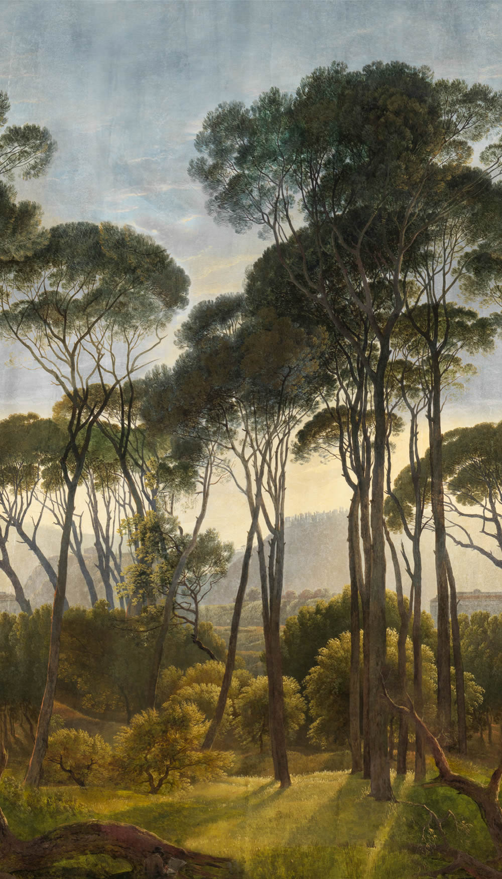 Wandbild 1,59 x 2,80 m Landschaft Wald sonniger Himmel A46301