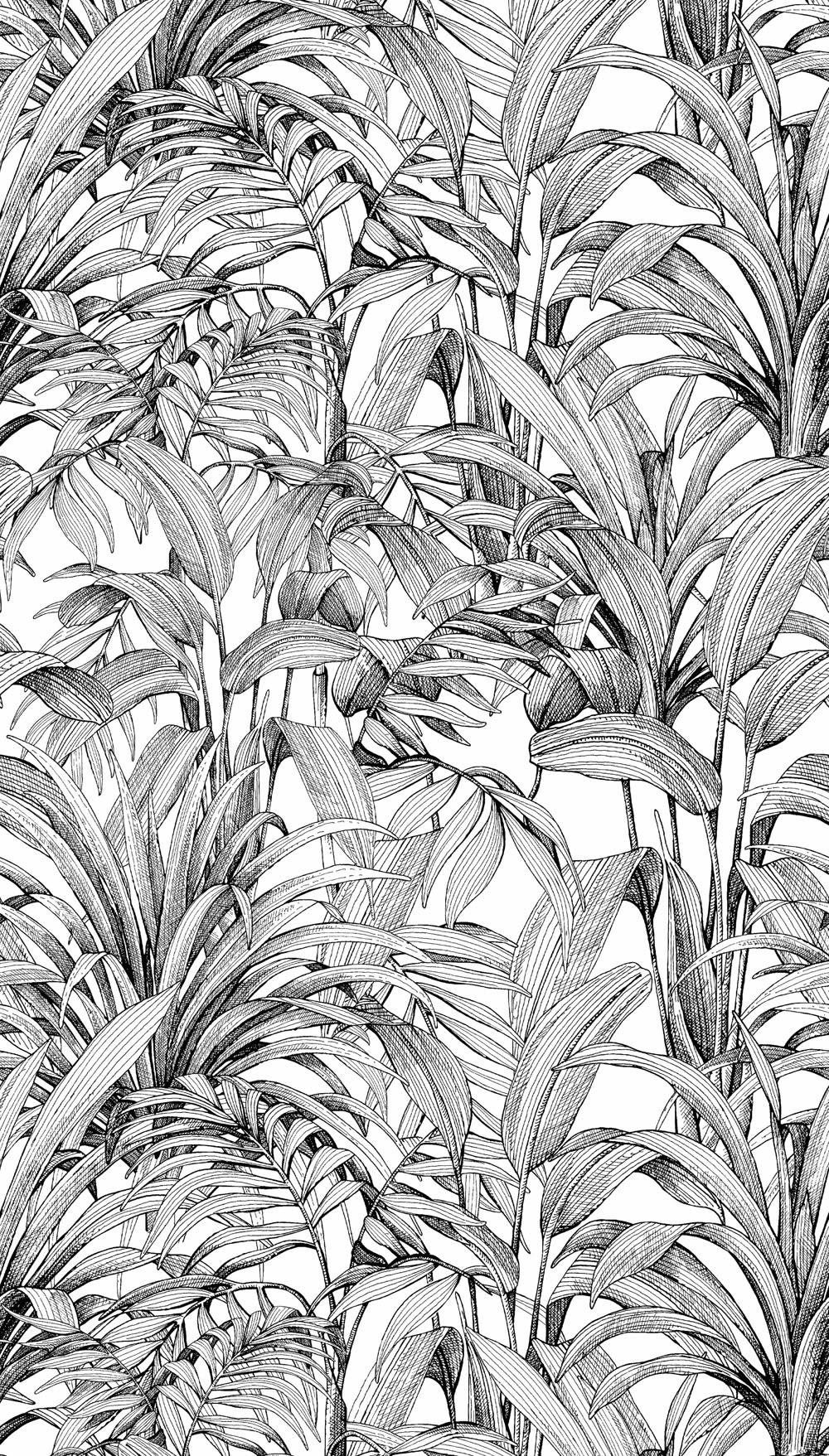 Wandbild 1,59 x 2,80 m Waldtapete Pflanzen schwarz weiß A58301