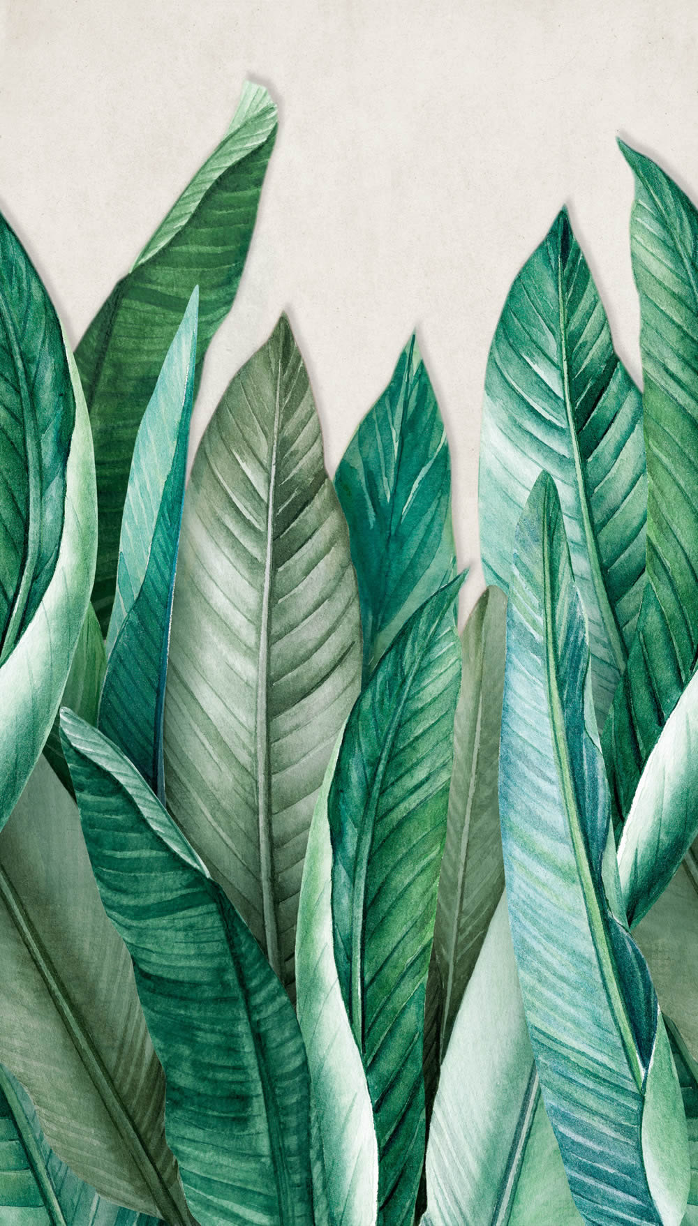 Wandbild 1,59 x 2,80 m große Blätter Pflanzentapete grün grau A39501