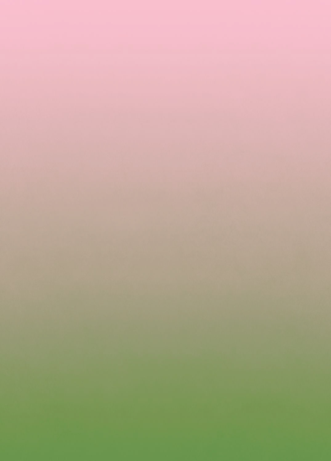 Farbverlauf Wandbild grün rosa 200 x 279 cm 159551