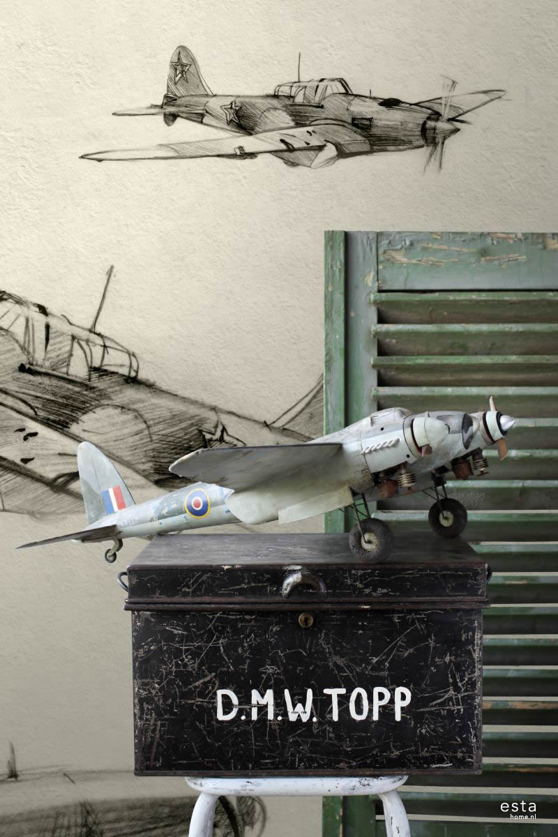 Mural aircraft Xl-23-158805