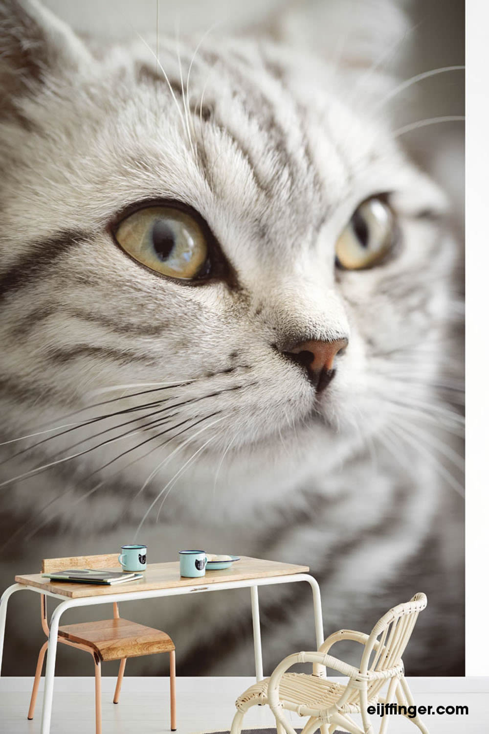 Cat mural non-woven grey-55-364123