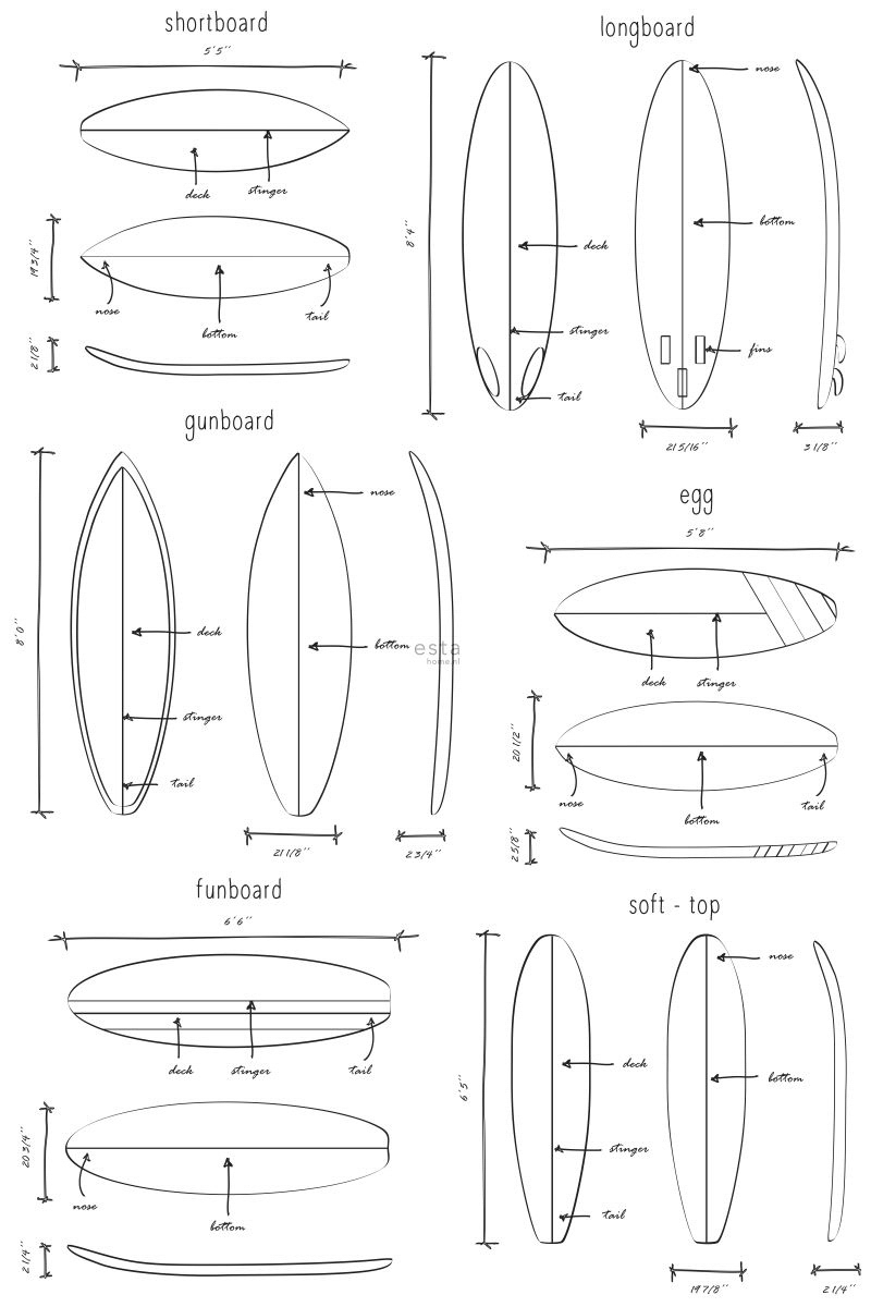 Wandbild Surfbrett Zeichnung 200 x 279 cm 158848