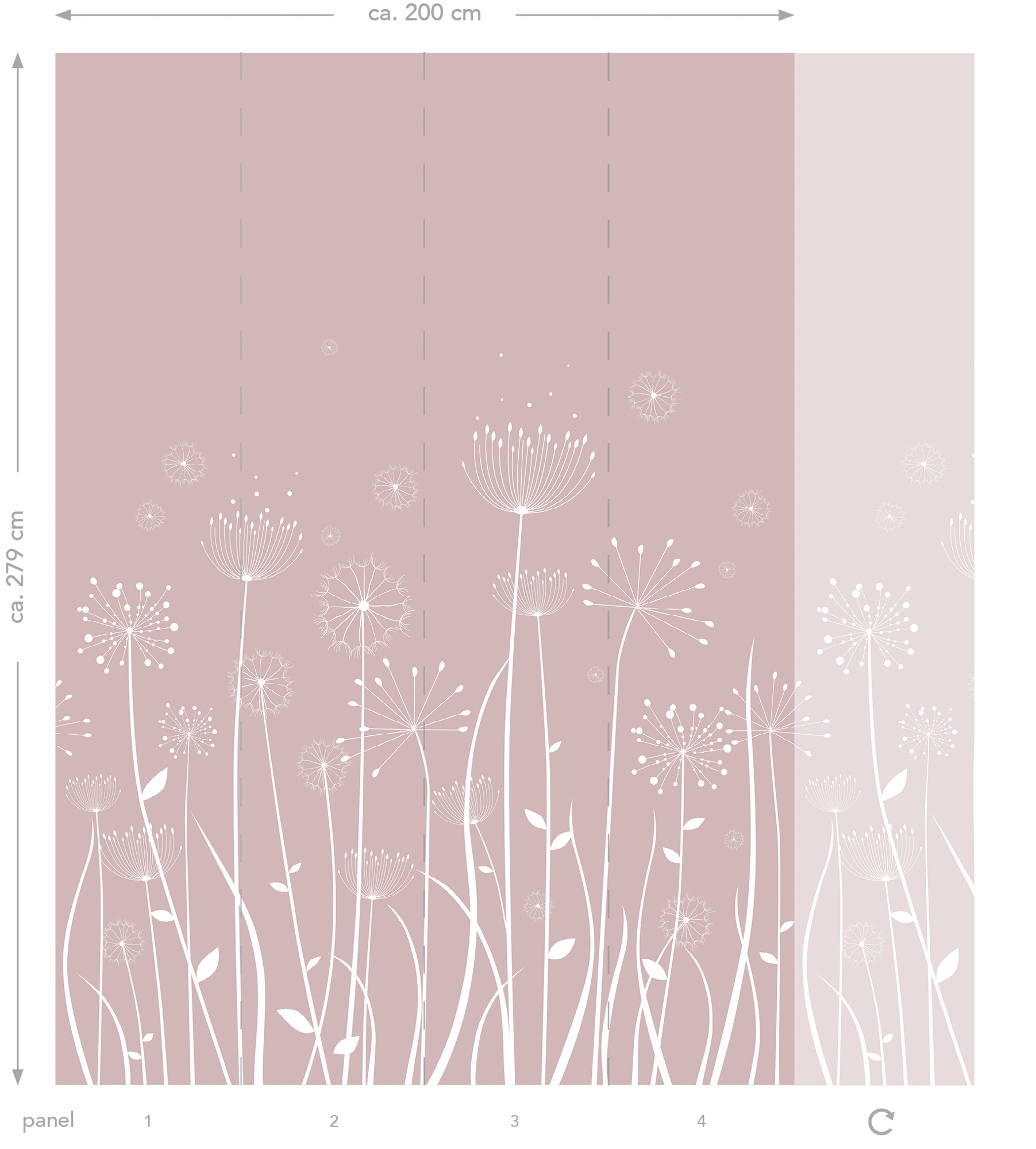 Wandbild Pusteblumenwiese Scandi altrosa 200 x 279 cm 158905