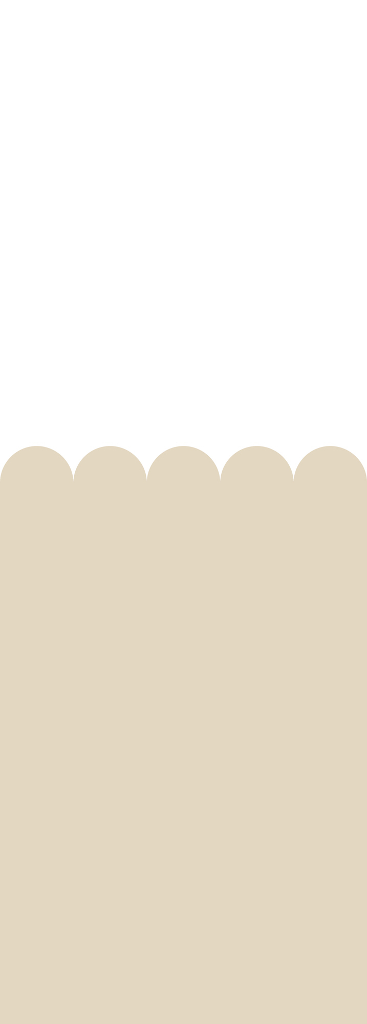Wandbild zweifarbig halbhohe Wandverkleidung 2 Bahnen beige