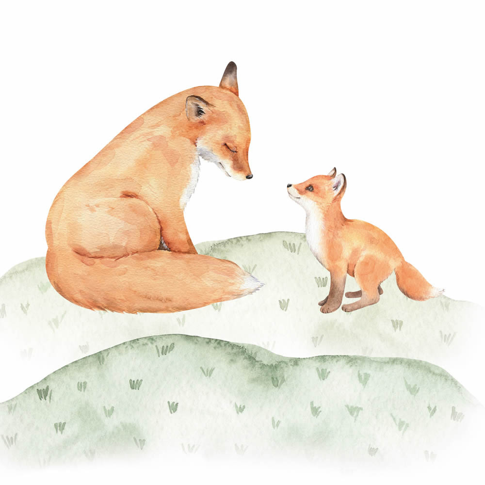Leinwandbild Fuchsfamilie Mama und Kind DD129431 30 x 30 cm