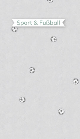 Sport/Fußball