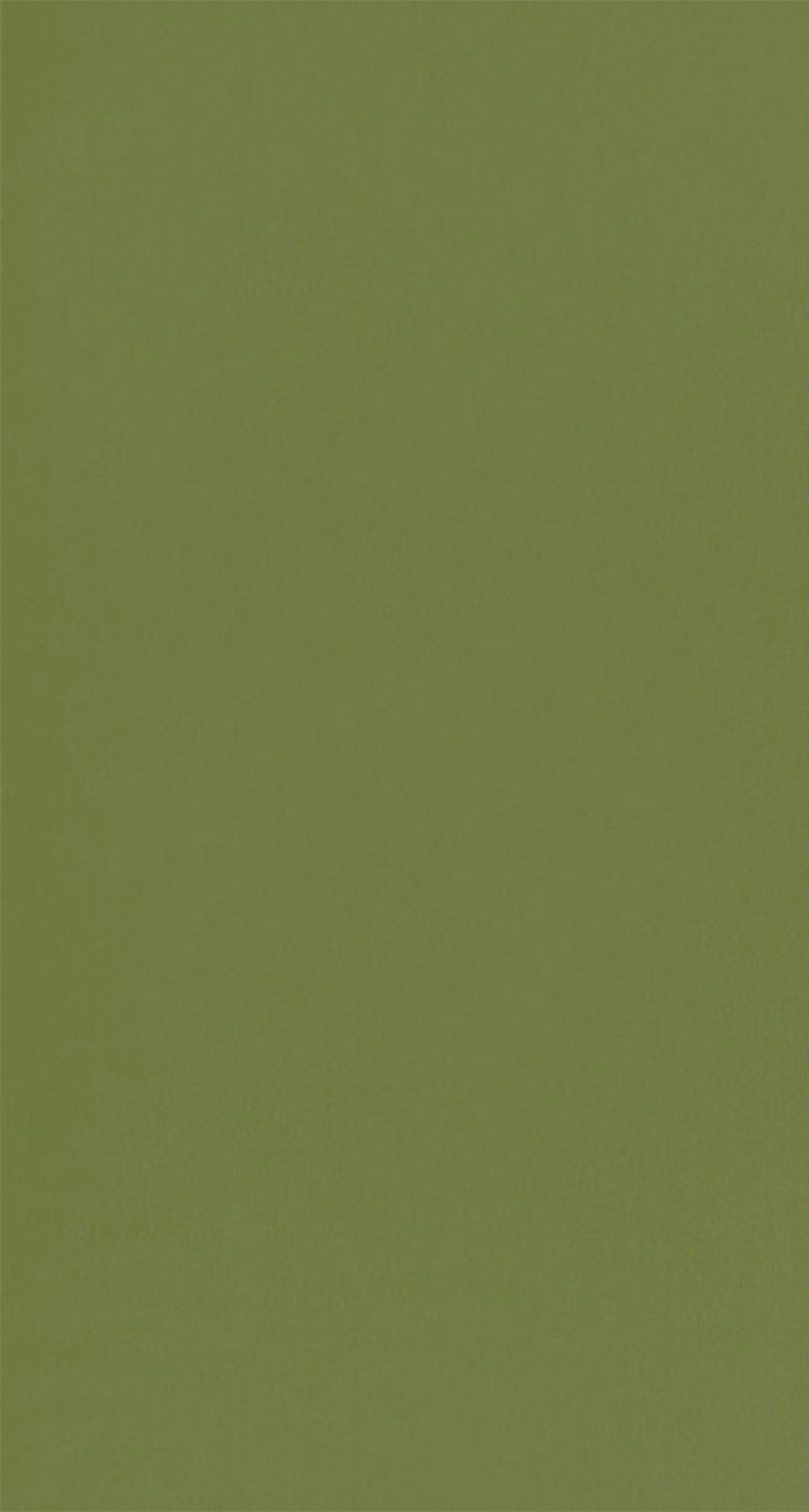 Unitapete Tapete grasgrün Caselio - Autour du Monde Texdecor ADM69867313