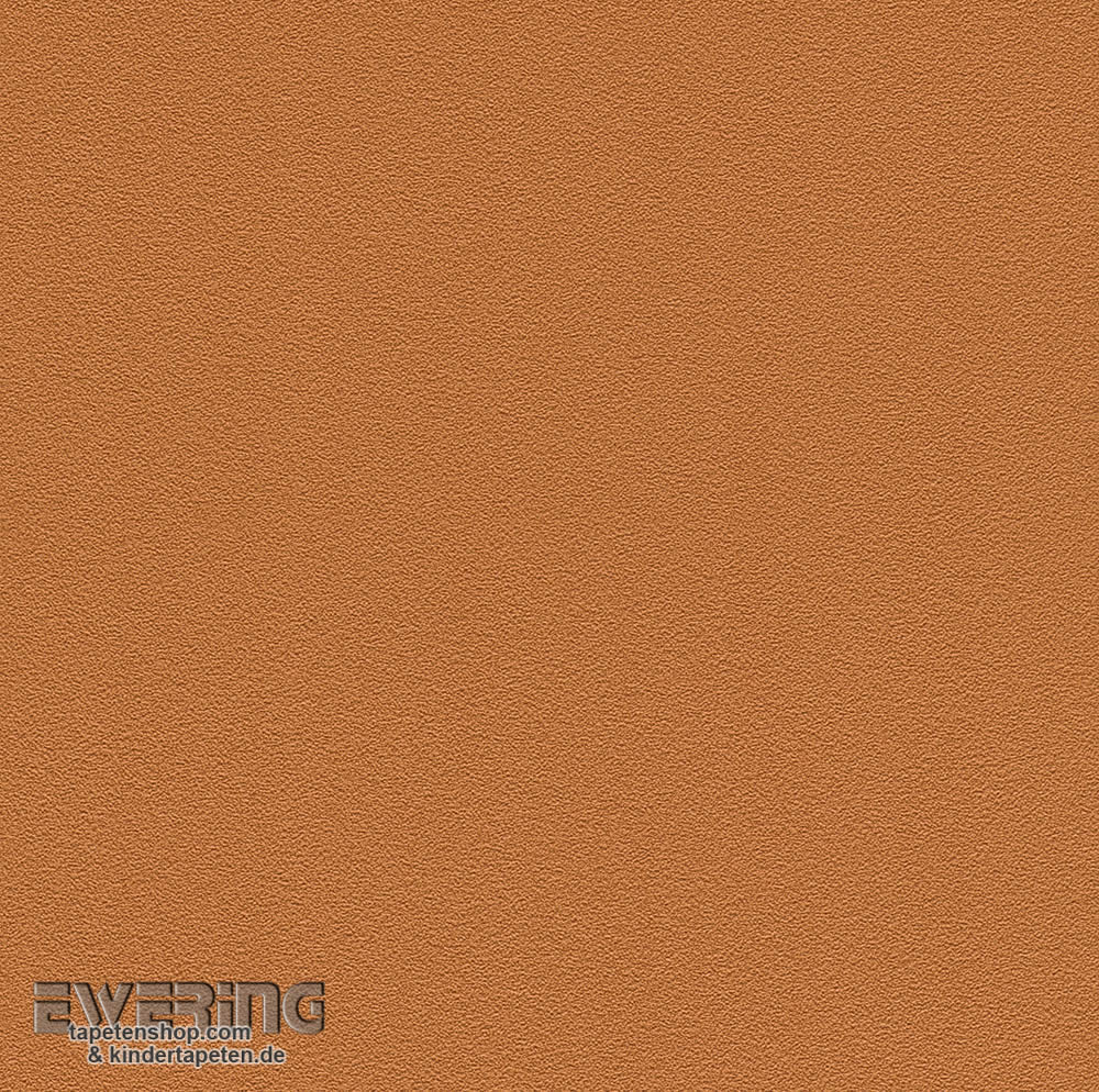 Uni Hellbraun Vliestapete
