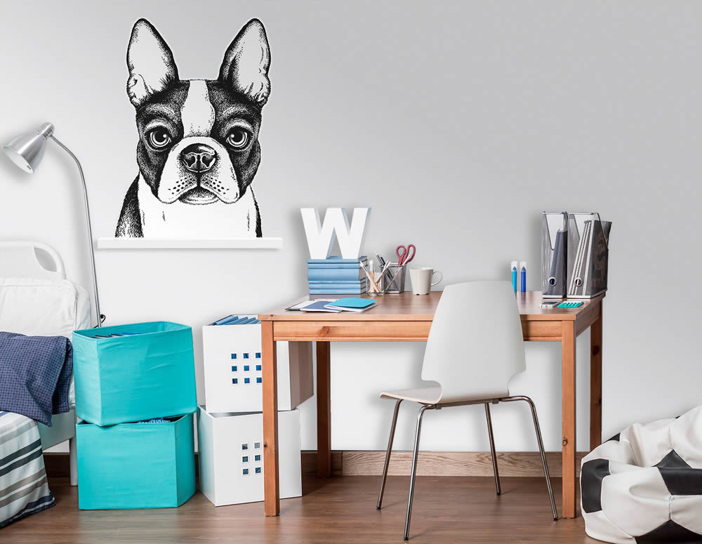 Wandbild Hund kleine Bulldogge vorgekleistert 69,3 x 100 cm