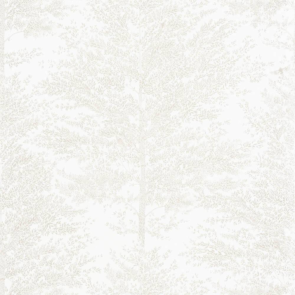 Forest wallpaper white Caselio - La Foret Texdecor FRT101800021