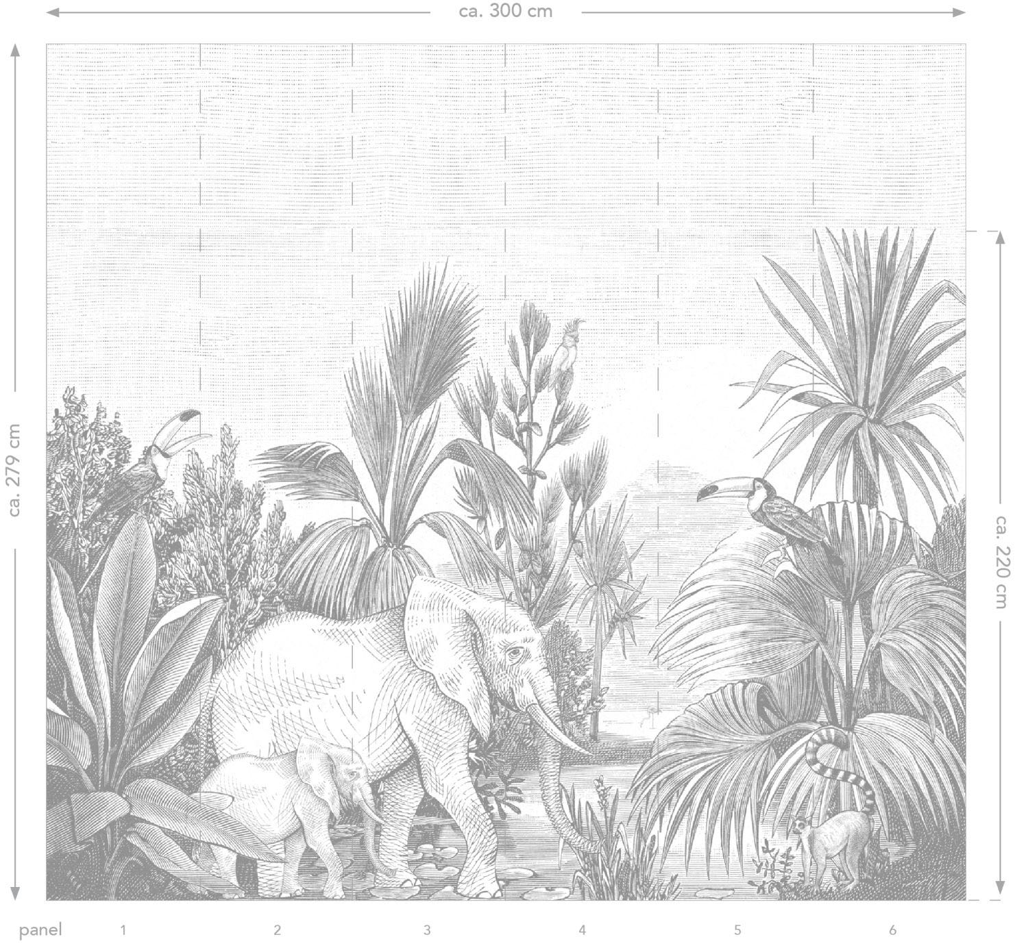 Wandbild Elefanten Dschungeltiere grau 300 x 279 cm 159061