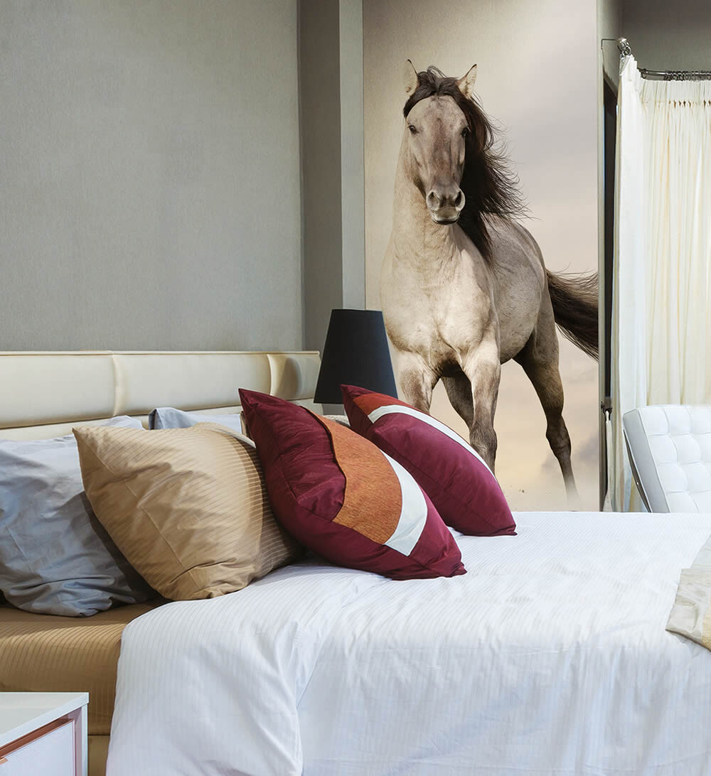 SALE 1 Rolle 57-1-057_L Divino Decor Fototapeten Vol. 1 Wandbild Rennpferd 100x270 cm-57-1-057