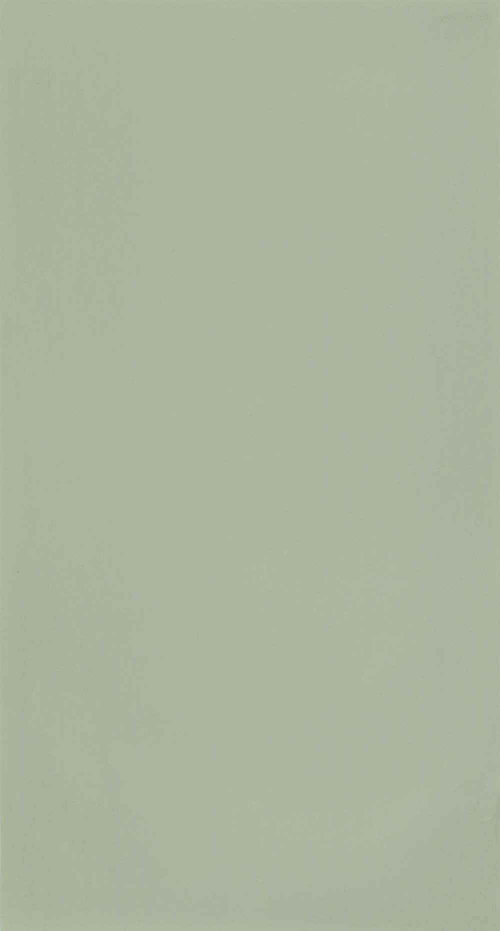 Uni Matte Tapete hellgrün Caselio - Autour du Monde Texdecor ADM69867200