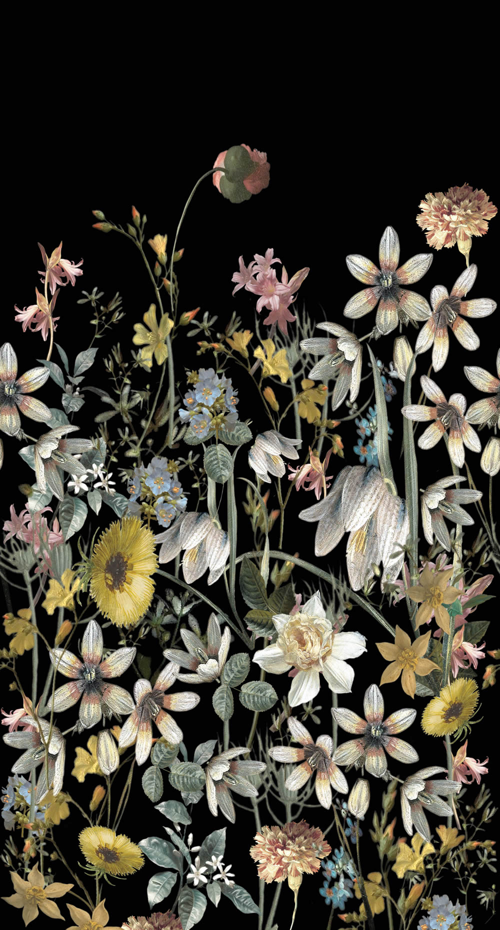 Wandbild Vintage Feldblumen schwarz 150 x 279 cm 159216