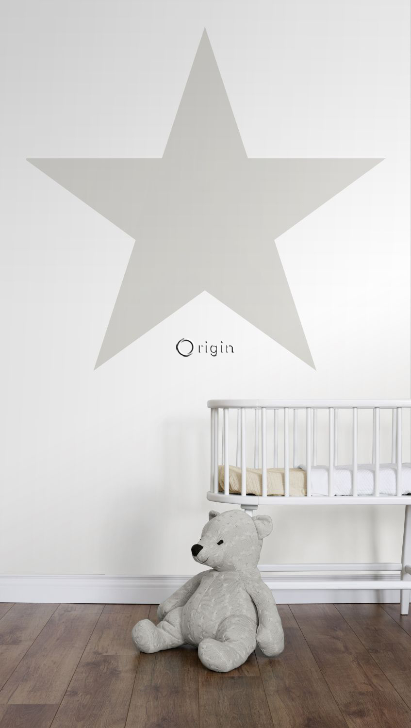 Wandbild großer Stern grau weiß 150 x 279 cm 357218