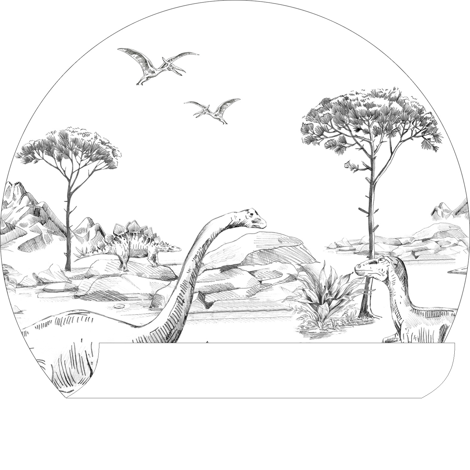 Dino Wandbild schwarz weiß rund 70 cm Vlies 159073