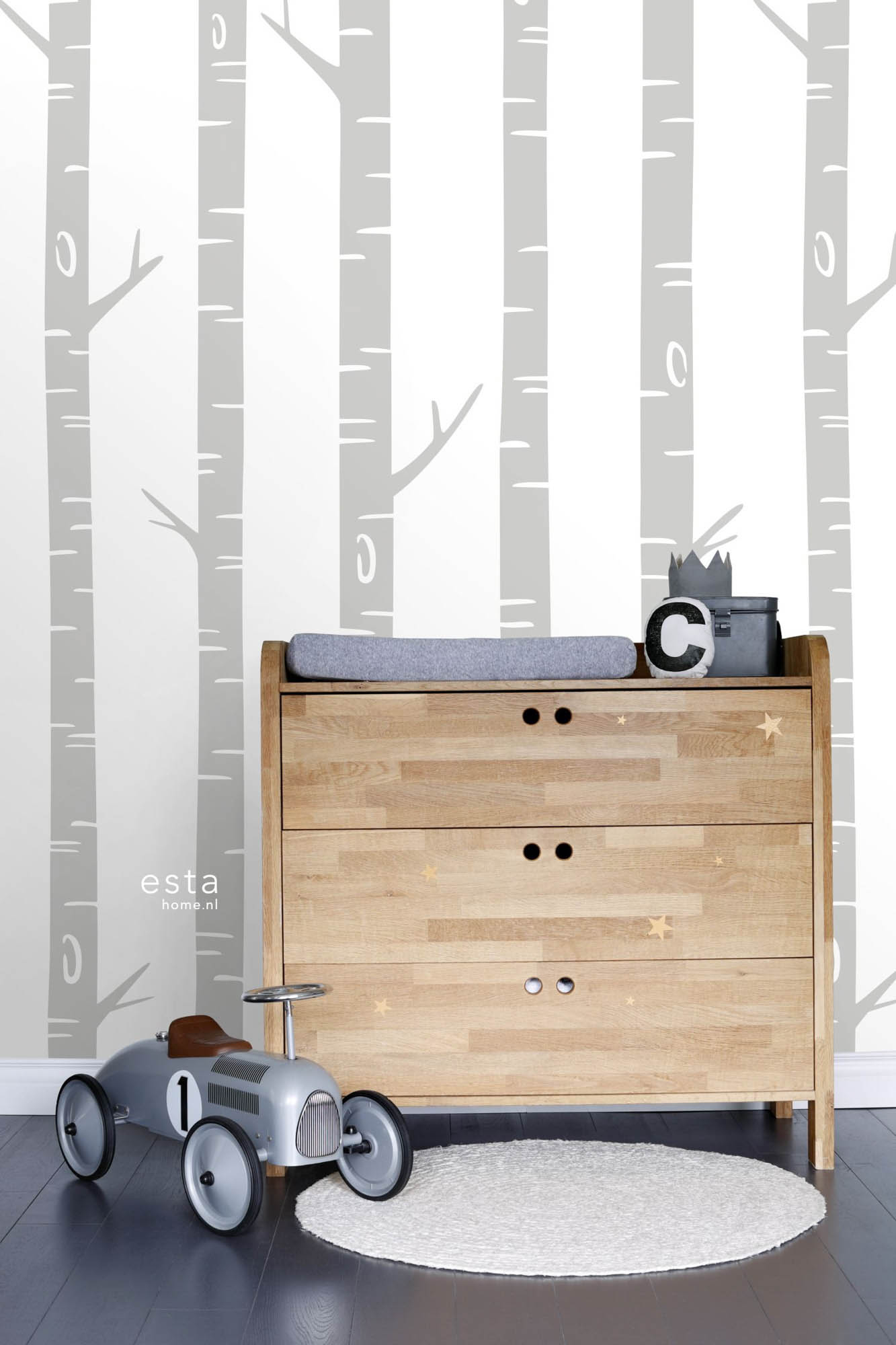Wandbild Birkenstämme grau weiß 150 x 279 cm 158924