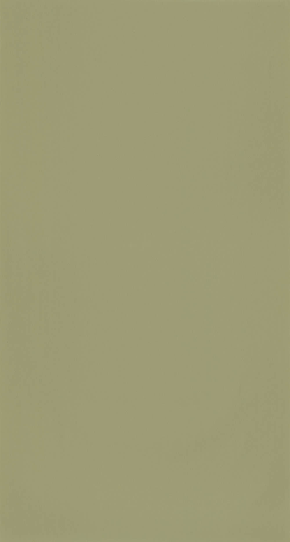 Unitapete Tapete olivgrün Caselio - Autour du Monde Texdecor ADM69867417