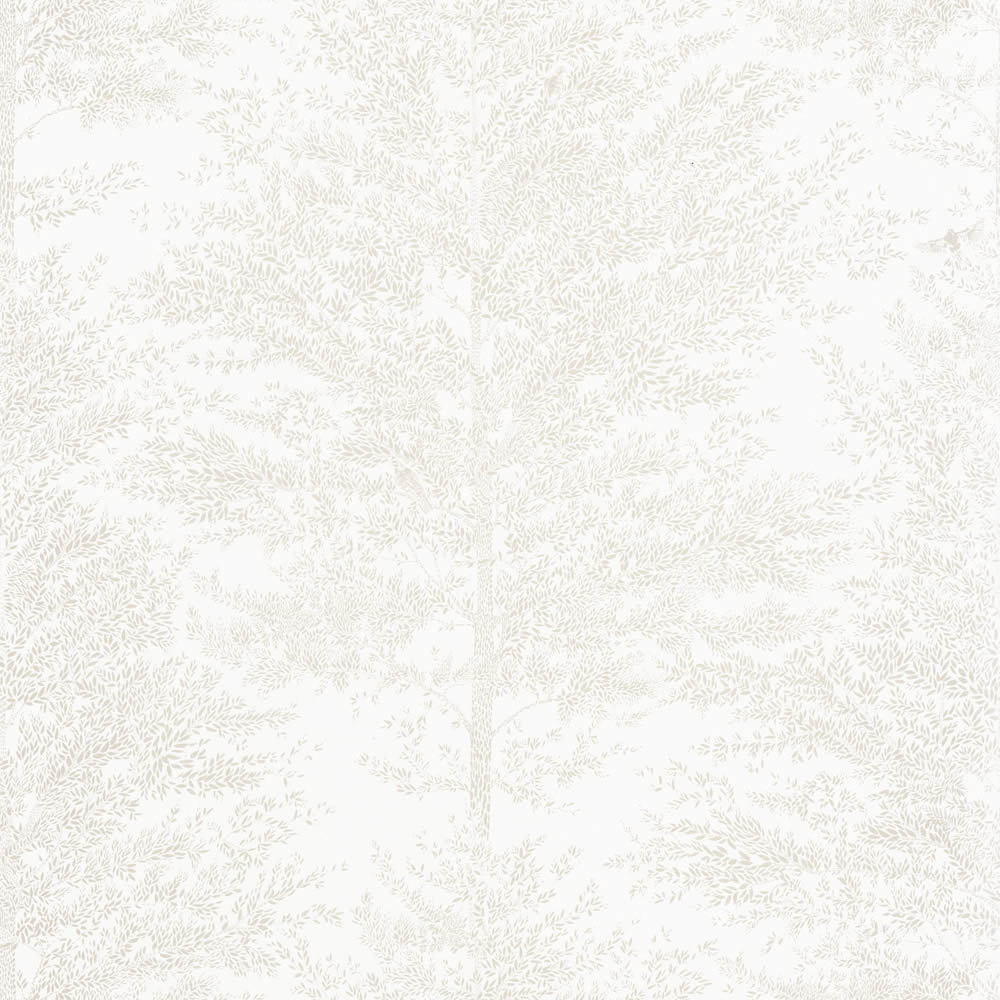 Forest wallpaper white Caselio - La Foret Texdecor FRT101800021-36-FRT101800021.1M