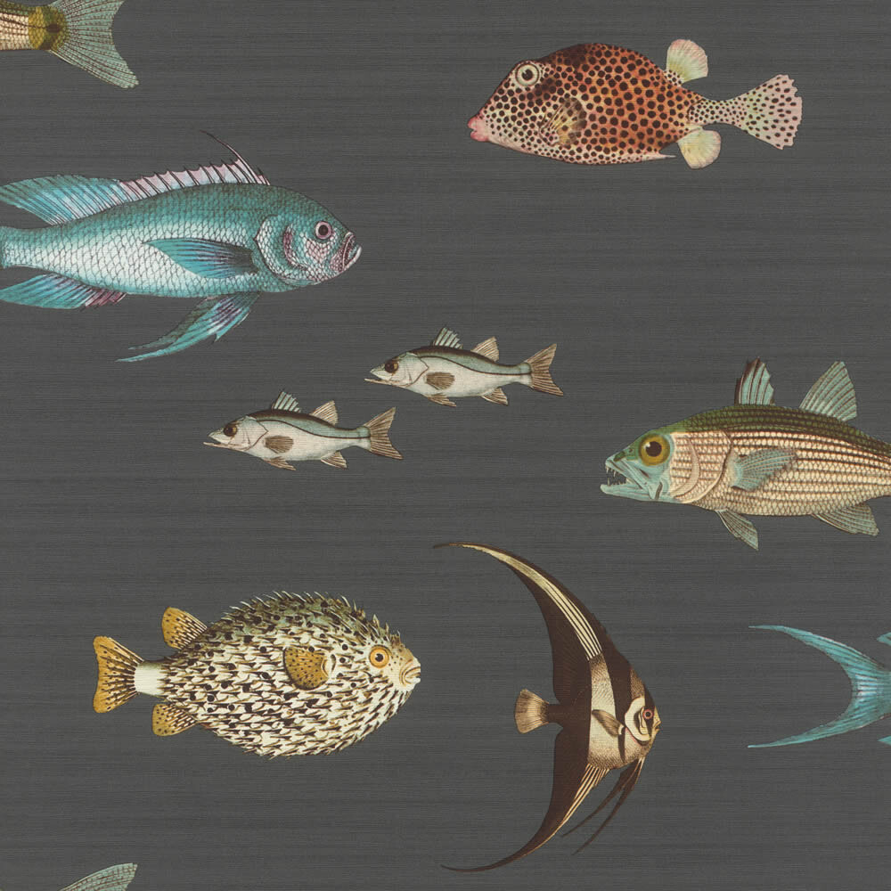 Tapete Tiere Fische Meerestiere anthrazit 553543_L-7-553543.1M