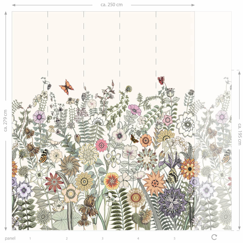 Wandbild Blumenwiese Schmetterlinge beige 250 x 279 cm 159107