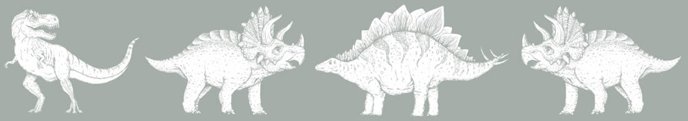 Verspielte Dinos Grau und weiß Borte Kids Walls Marburg 45802