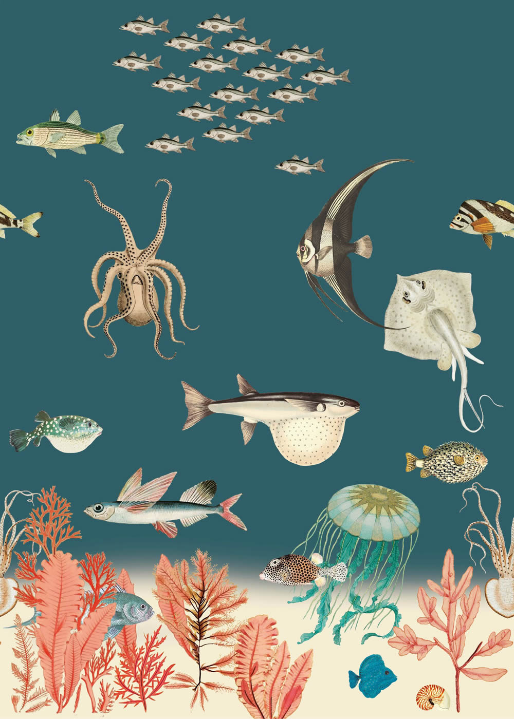 Wandbild Meer Fische Unterwasser Qualle Tintenfisch Dunkelblau 557633