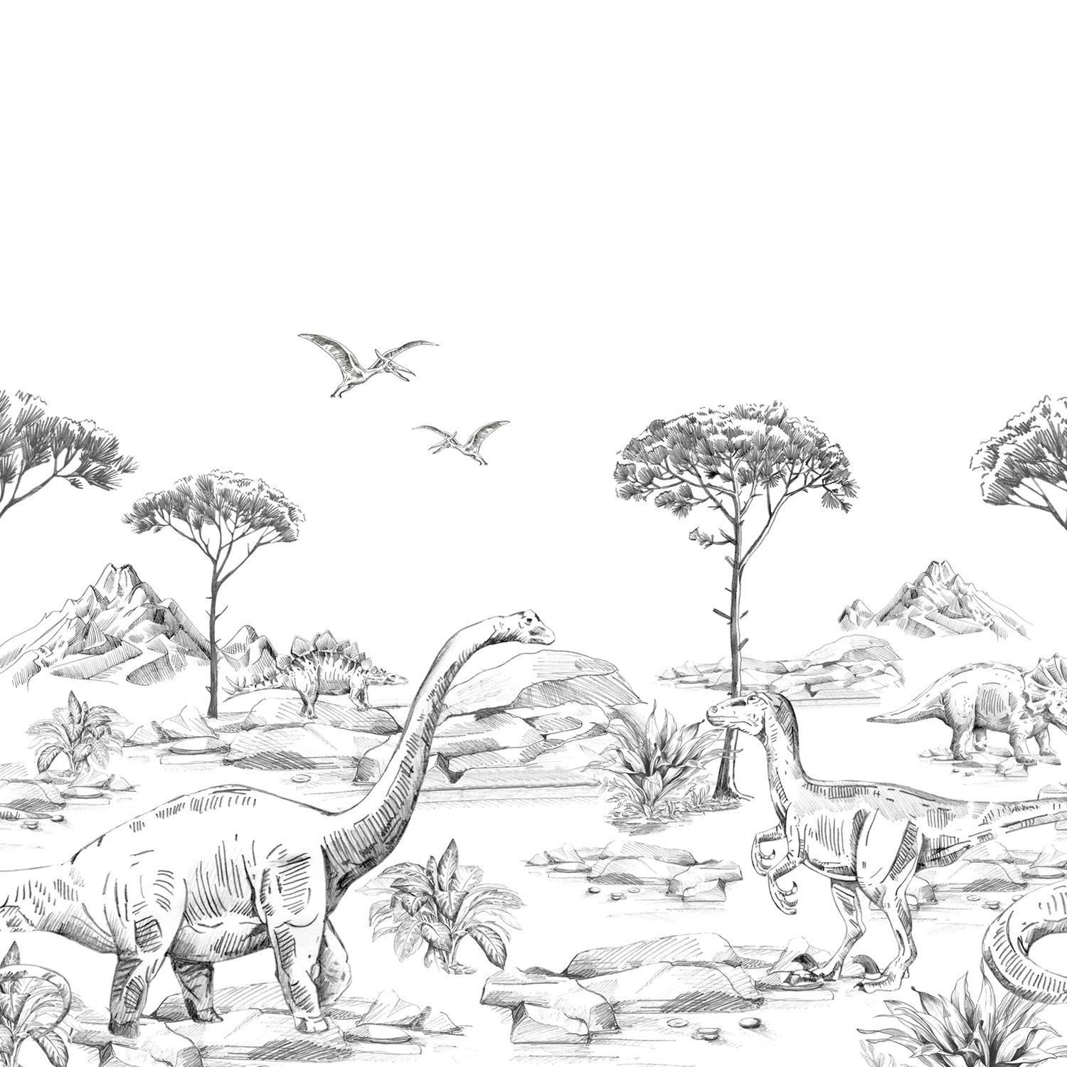 Dino Wandbild schwarz weiß 300 x 279 cm 159063