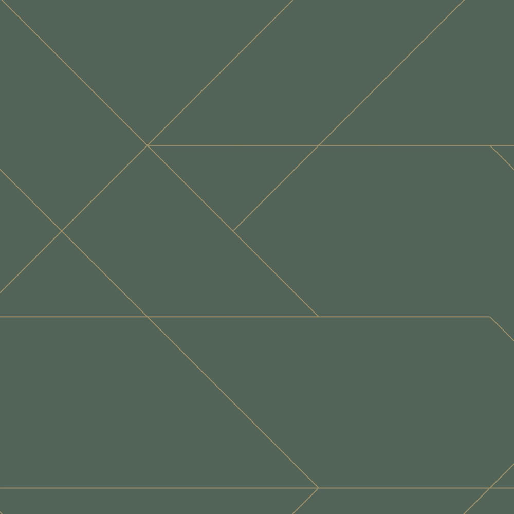 Tapete grafisches Linien Muster Vlies grün 139212