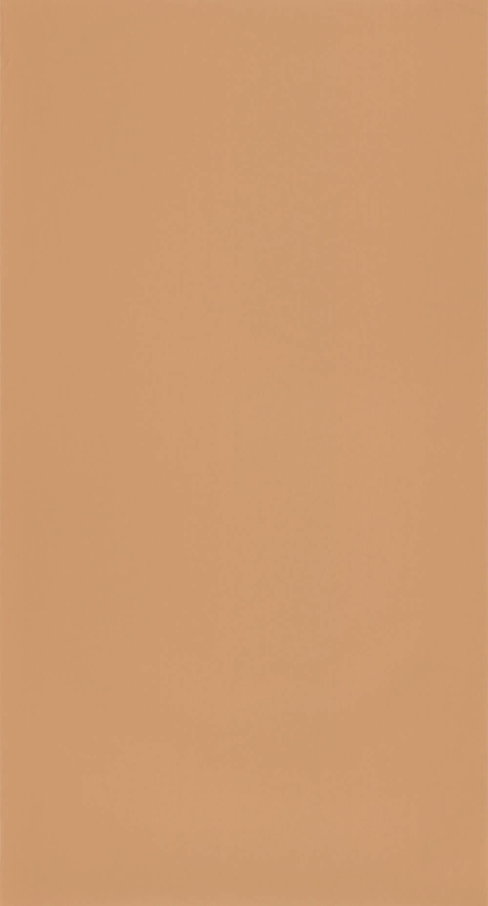 Uni Natürliche Unitapeten Tapete braun Caselio - Autour du Monde ADM69862050