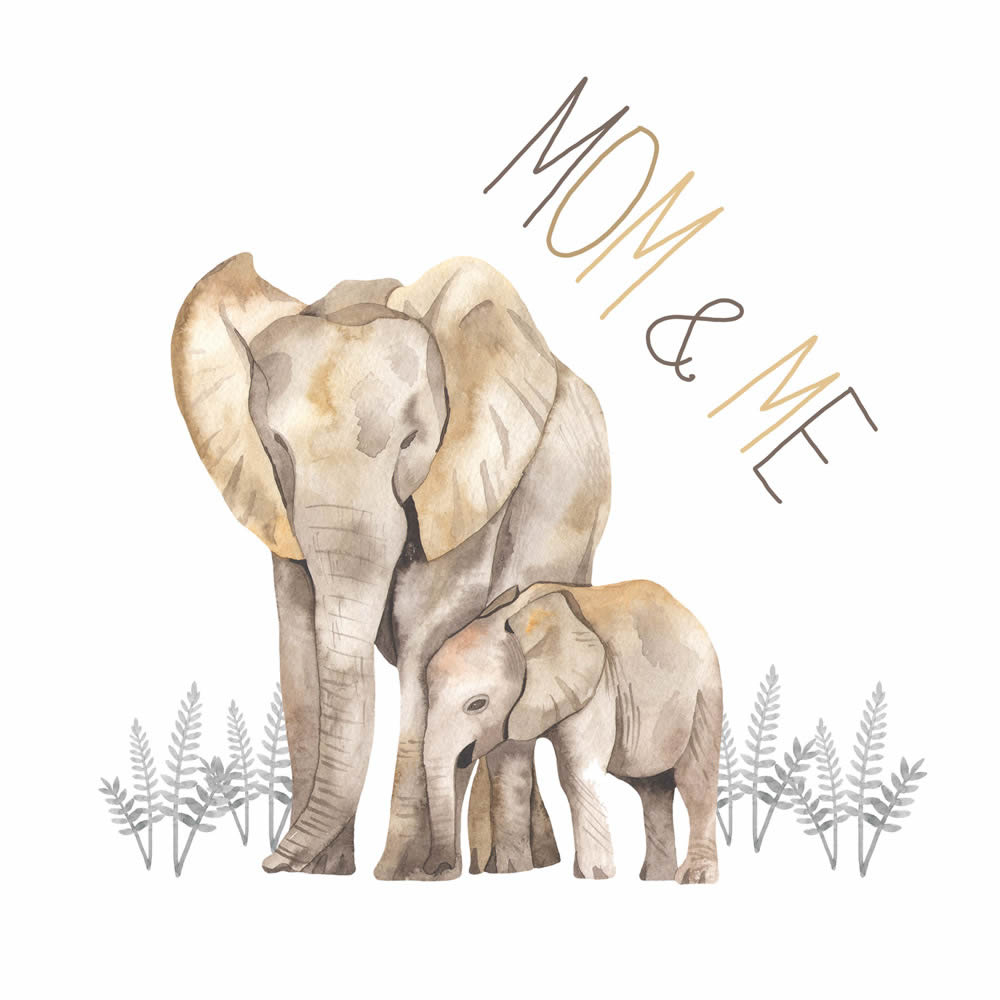 Canvas picture elephants family baby mom DD129421 30 x 30 cm