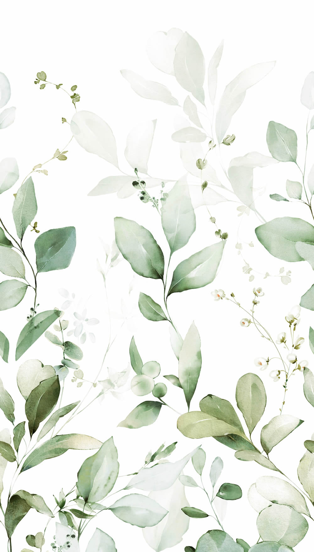 Wandbild 1,59 x 2,80 m Ranken aquarell Blätter grün weiß A77101