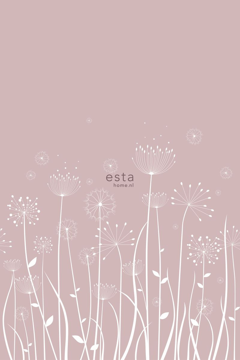 Wandbild Pusteblumenwiese Scandi altrosa 200 x 279 cm 158905