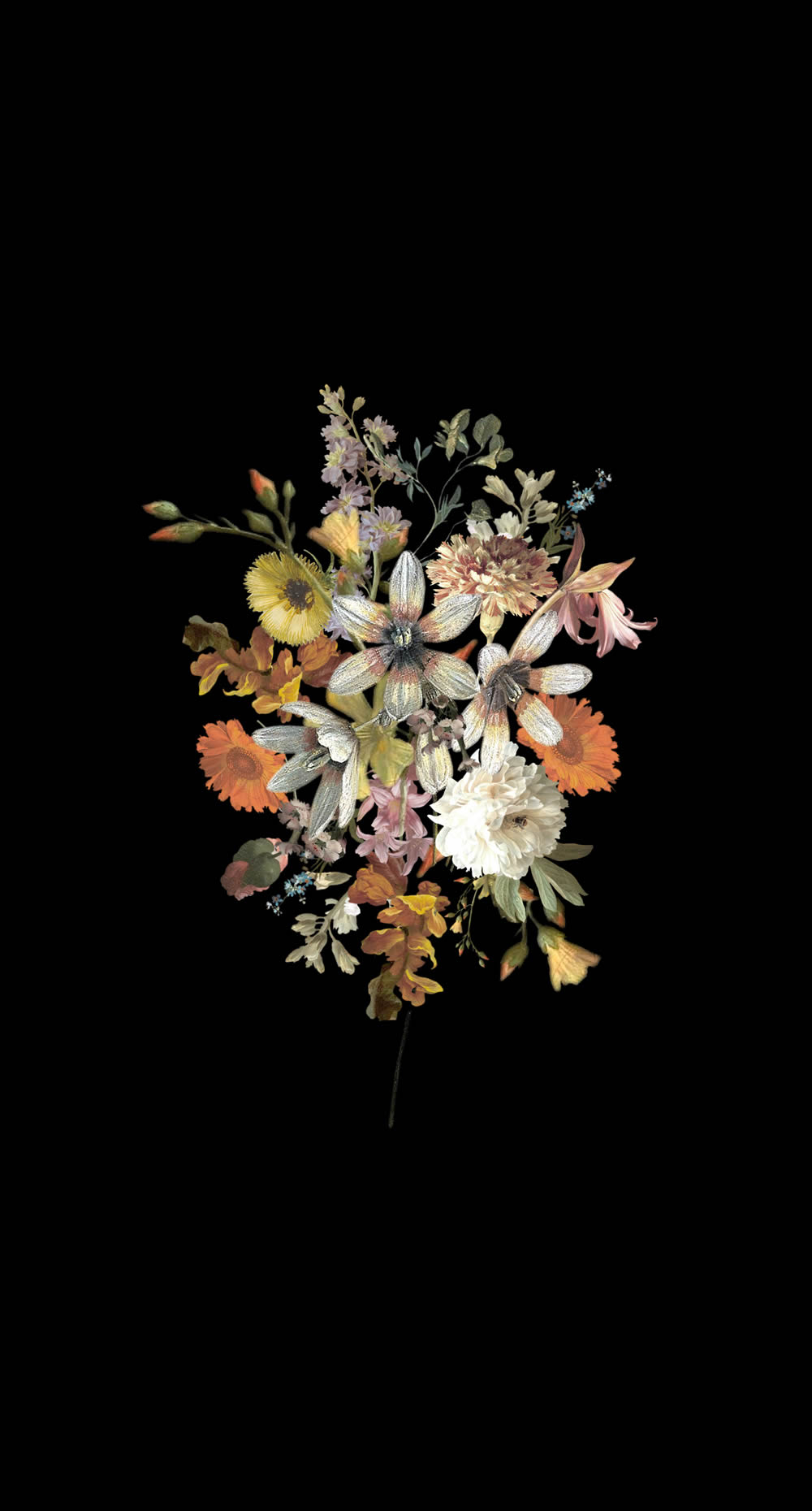 Wandbild Blumenstillleben schwarz 150 x 279 cm 159215