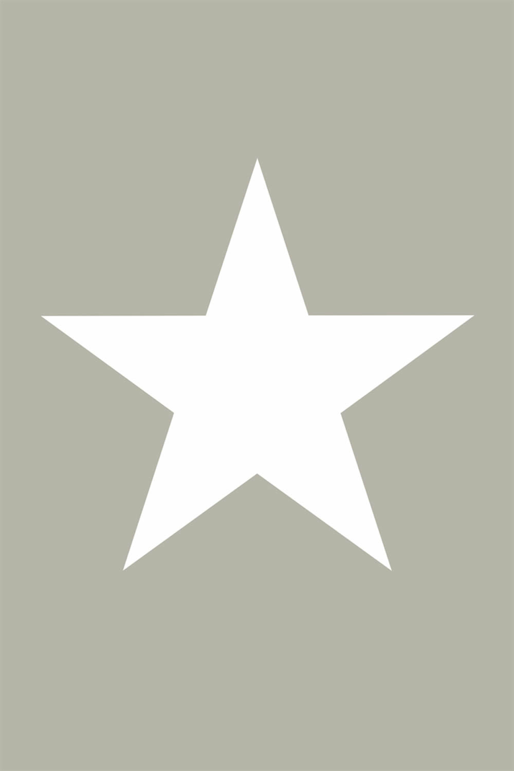 Star mural Grey Xl-23-158706_2