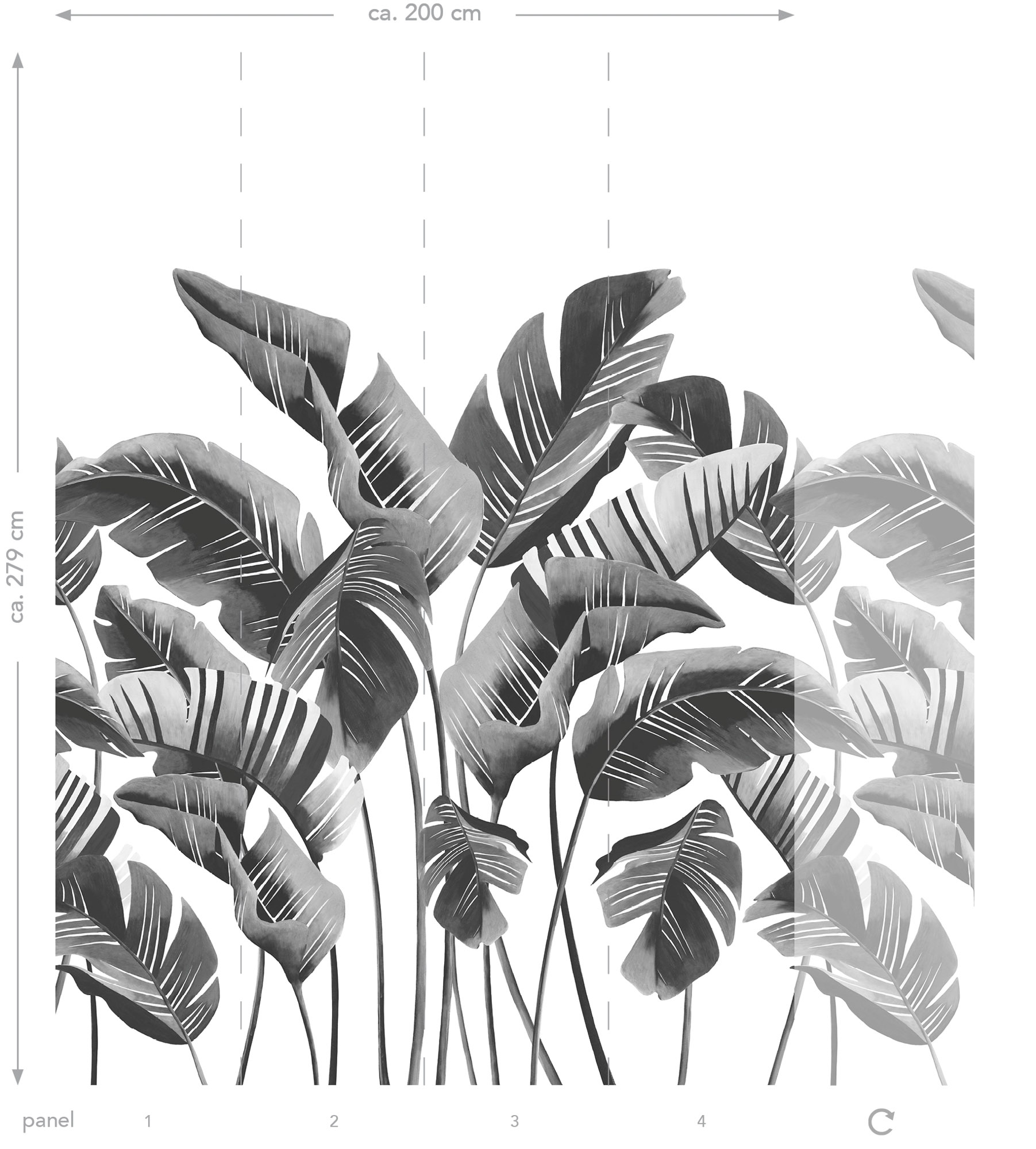 Wandbild Bananenblätter schwarz weiß 200 x 279 cm 158907